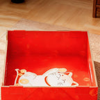 Foldable Travel Cat Litter Tray