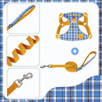 Checked Puppy Harness Lead Set