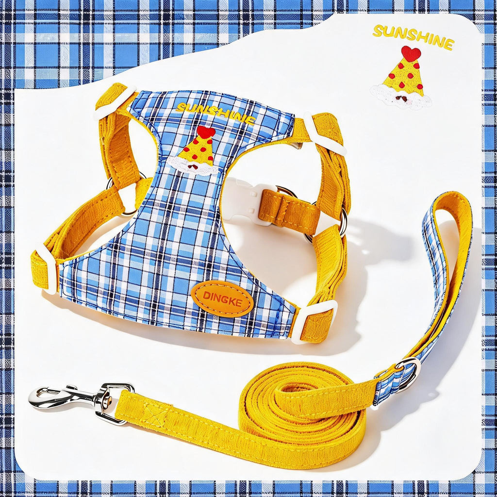 Checked Puppy Harness Lead Set
