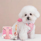 Bow Wing Small Dog Harness