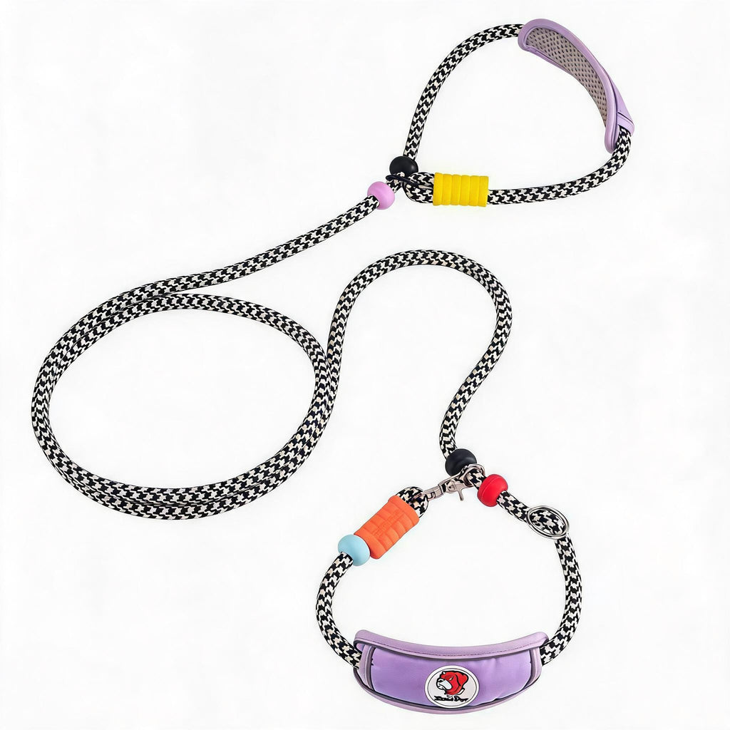 Padded Slip Lead Leash