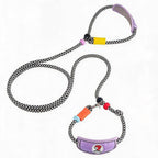 Padded Slip Lead Leash