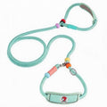 Padded Slip Lead Leash